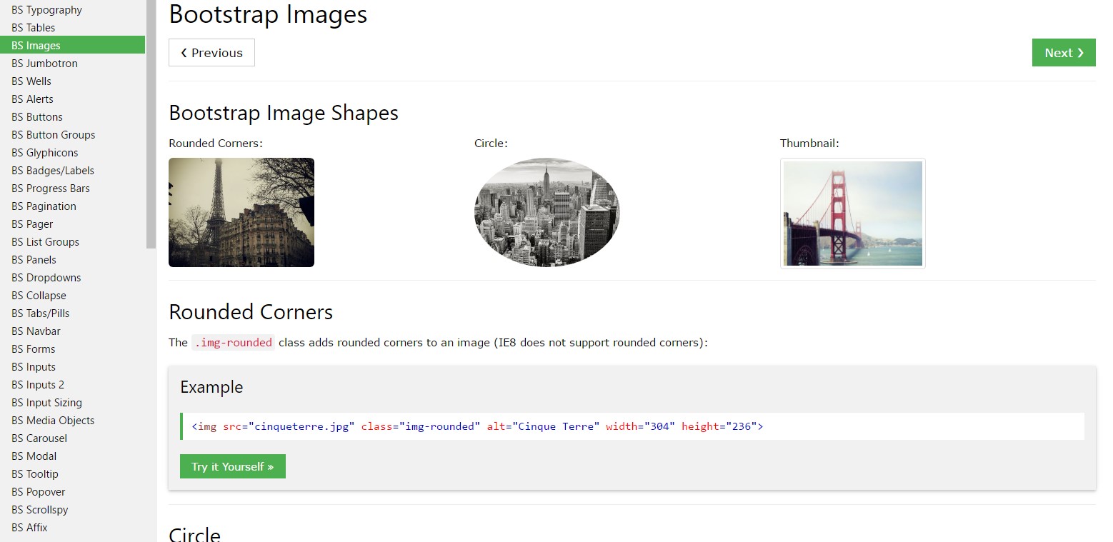 Bootstrap image  information