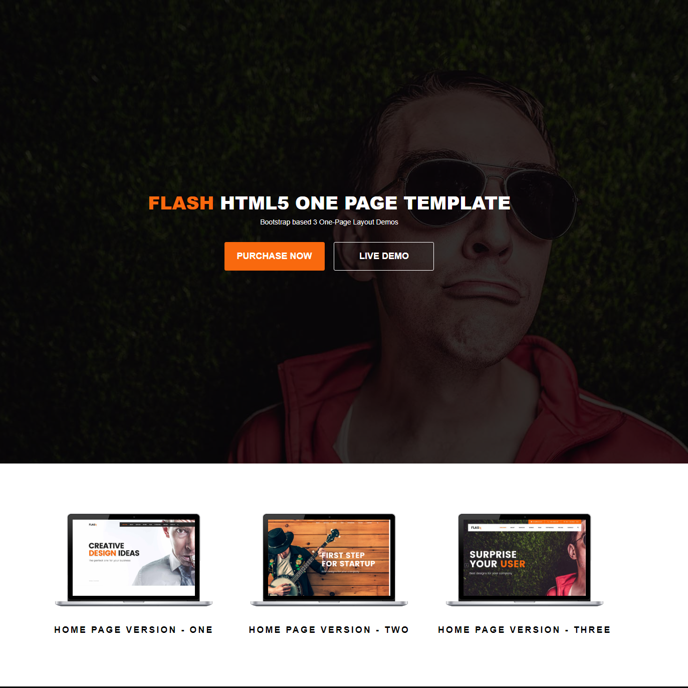Responsive Bootstrap Flash Themes
