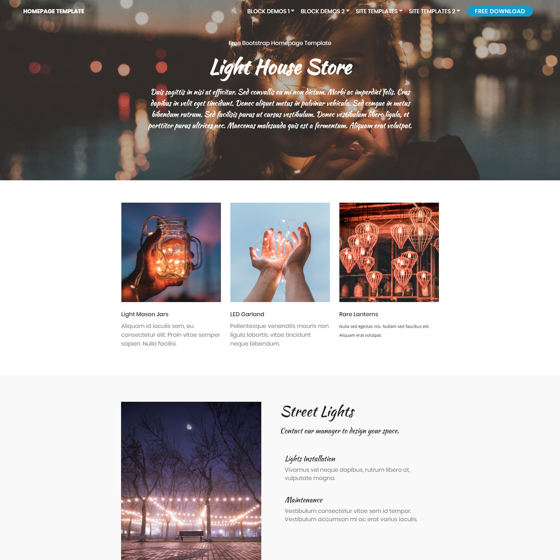CSS3 Bootstrap Homepage Themes
